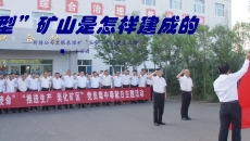2025新老澳门原料网站