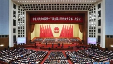 2025新老澳门原料网站