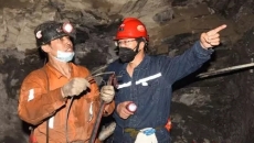 2025新老澳门原料网站