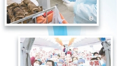 2025新老澳门原料网站