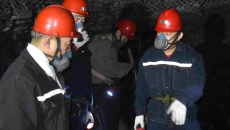 2025新老澳门原料网站