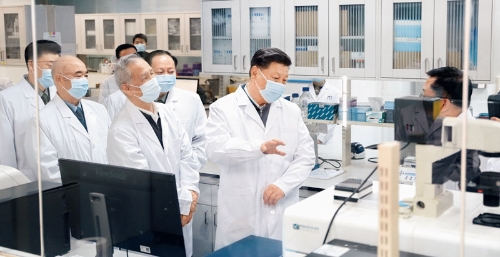 2025新老澳门原料网站