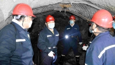 2025新老澳门原料网站