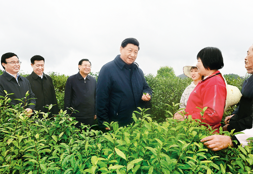 2025新老澳门原料网站