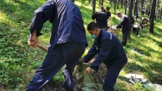 2025新老澳门原料网站