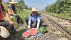 2025新老澳门原料网站