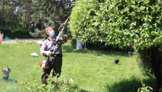 2025新老澳门原料网站