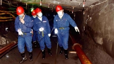 2025新老澳门原料网站