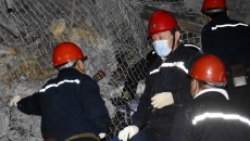 2025新老澳门原料网站