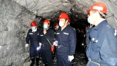 2025新老澳门原料网站