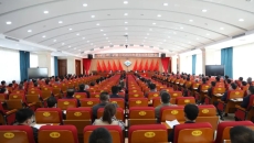 2025新老澳门原料网站