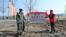 2025新老澳门原料网站