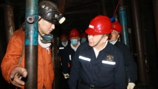 2025新老澳门原料网站