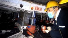 2025新老澳门原料网站