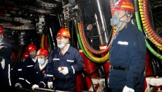 2025新老澳门原料网站