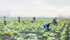 2025新老澳门原料网站