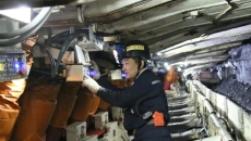 2025新老澳门原料网站