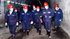 2025新老澳门原料网站