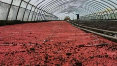 2025新老澳门原料网站