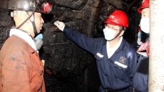 2025新老澳门原料网站