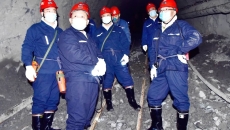 2025新老澳门原料网站