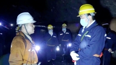 2025新老澳门原料网站