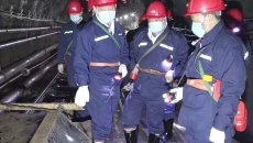 2025新老澳门原料网站