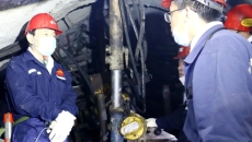 2025新老澳门原料网站