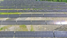 2025新老澳门原料网站