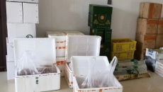 2025新老澳门原料网站