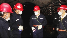 2025新老澳门原料网站