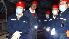 2025新老澳门原料网站