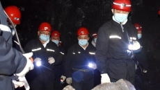 2025新老澳门原料网站