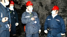 2025新老澳门原料网站