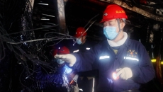 2025新老澳门原料网站