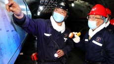 2025新老澳门原料网站