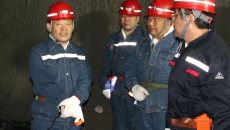 2025新老澳门原料网站