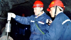 2025新老澳门原料网站