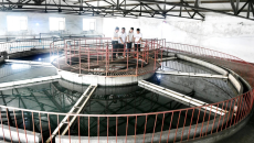 2025新老澳门原料网站