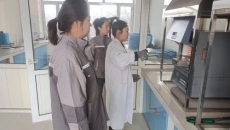 2025新老澳门原料网站
