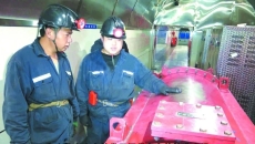 2025新老澳门原料网站