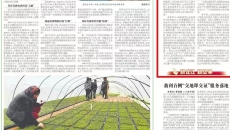 2025新老澳门原料网站