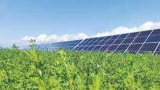 2025新老澳门原料网站