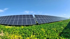 2025新老澳门原料网站