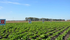 2025新老澳门原料网站