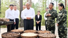 2025新老澳门原料网站