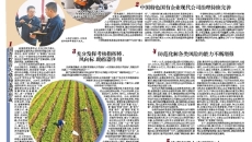 2025新老澳门原料网站