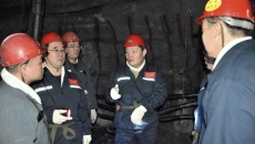 2025新老澳门原料网站