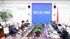 2025新老澳门原料网站