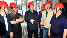 2025新老澳门原料网站